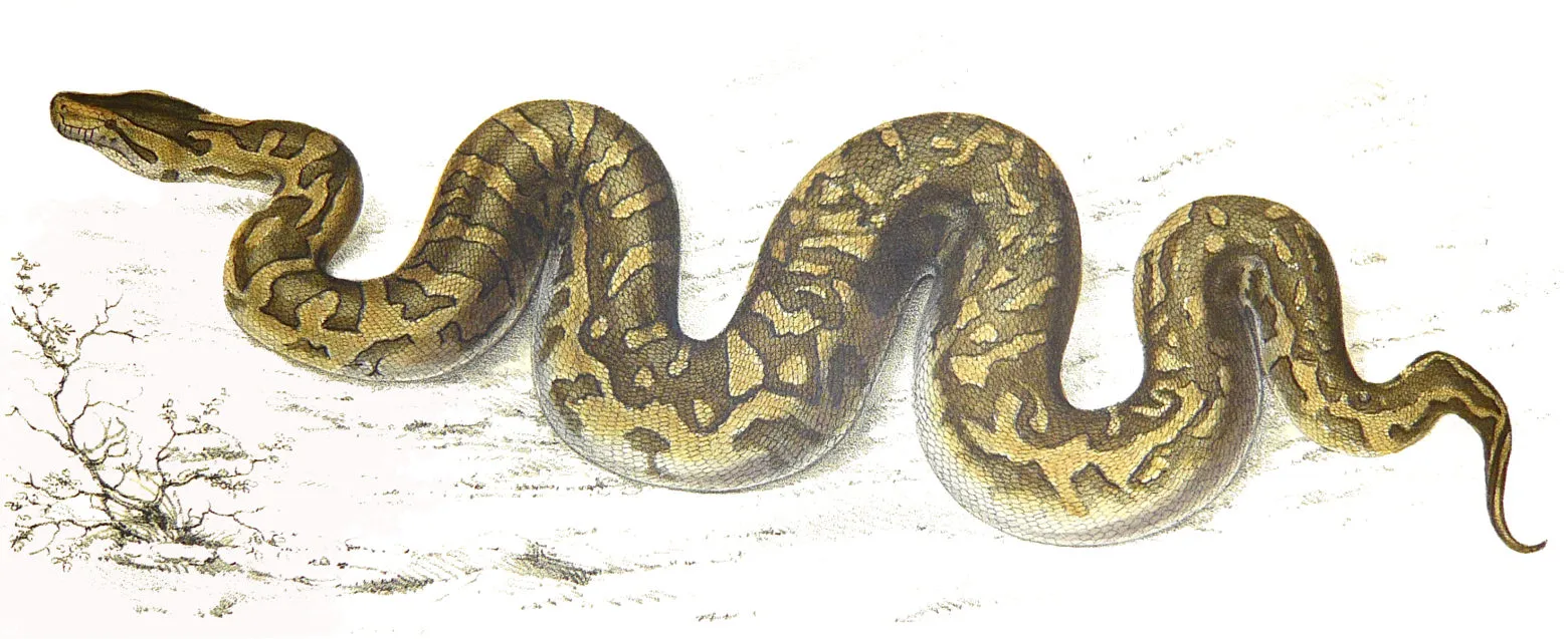 How to use anaconda python effectively