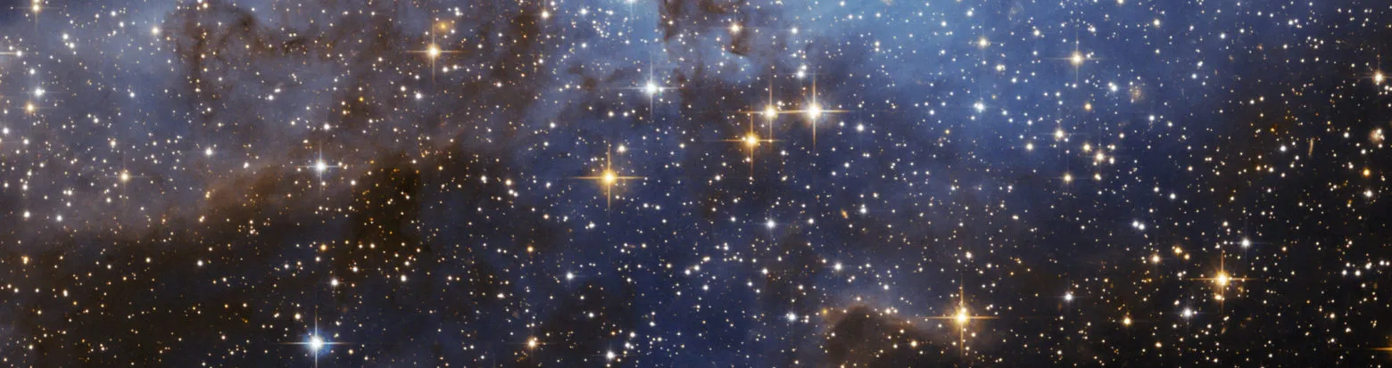 The 4 streams of deep learning